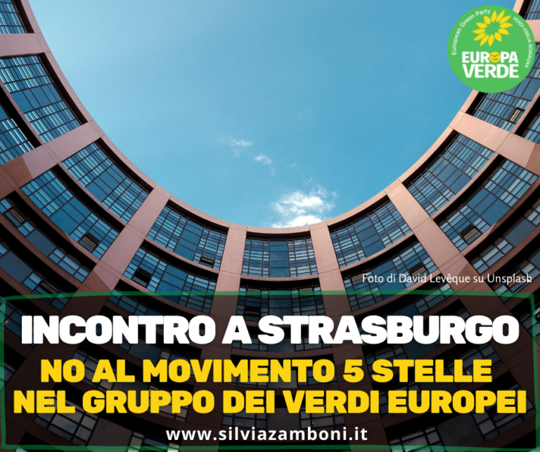 INCONTRO A STRASBURGO: NO AL MOVIMENTO 5STELLE NEL GRUPPO DEI VERDI EUROPEI