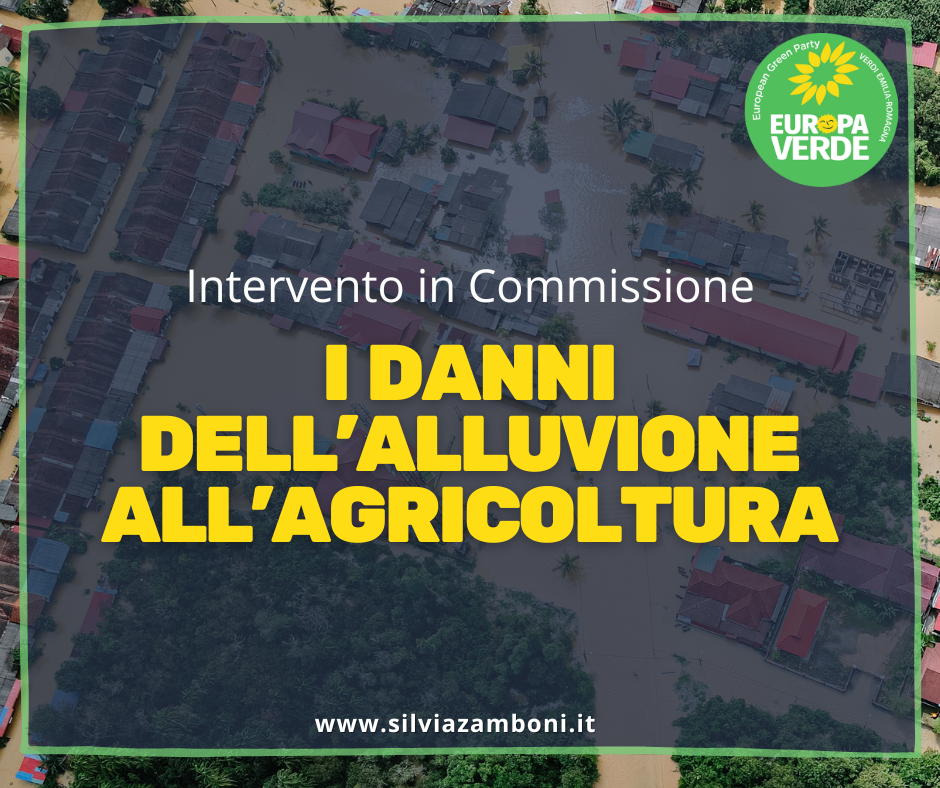 I DANNI DELL’ALLUVIONE ALL’AGRICOLTURA