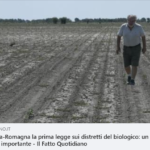 MIO ARTICOLO SUL BLOG DEL FATTO QUOTIDIANO: In Emilia-Romagna la prima legge sui distretti del biologico: un passo politicamente importante