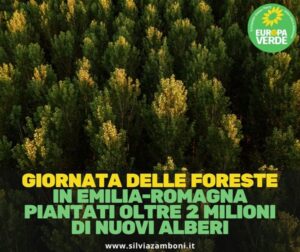 GIORNATA MONDIALE DELLE FORESTE: FACCIAMO IL PUNTO